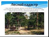 Лесной кадастр. – свод сведений о правовом режиме лесного фонда, количественном и качественном состоянии лесов РФ, в том числе о составе древесных пород, возрастном составе леса, экономической оценке и др.