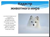 Кадастр животного мира. –систематизированные сведения о географическом распространении, численности, составе, хозяйственном использовании, мерах охраны, о среде обитания объектов животного мира