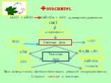 Фотосинтез. 6CO2 + 6H2O C6H12O6 + 6O2 – суммарное уравнение. СВЕТ хлорофилл Н2О Световая фаза ½ О2 АТФ НАДФ х Н2 Темновая фаза СО2 С6Н12О6 глюкоза. Всю совокупность фотосинтетических реакций подразделяем на 2 стадии: световая и темновая.
