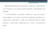 Наиболее яйценоские кубанские, китайские и горьковские гуси. Однако у этих пород гусей недостаточ­ные откормочные качества. У холмогорских, тулузских, эмденских, крупных серых, владимирских глинистых, виштинес, адлерских, роменских и шадринских (уральских) гусей при хорошей мясной скоро­спелости мол