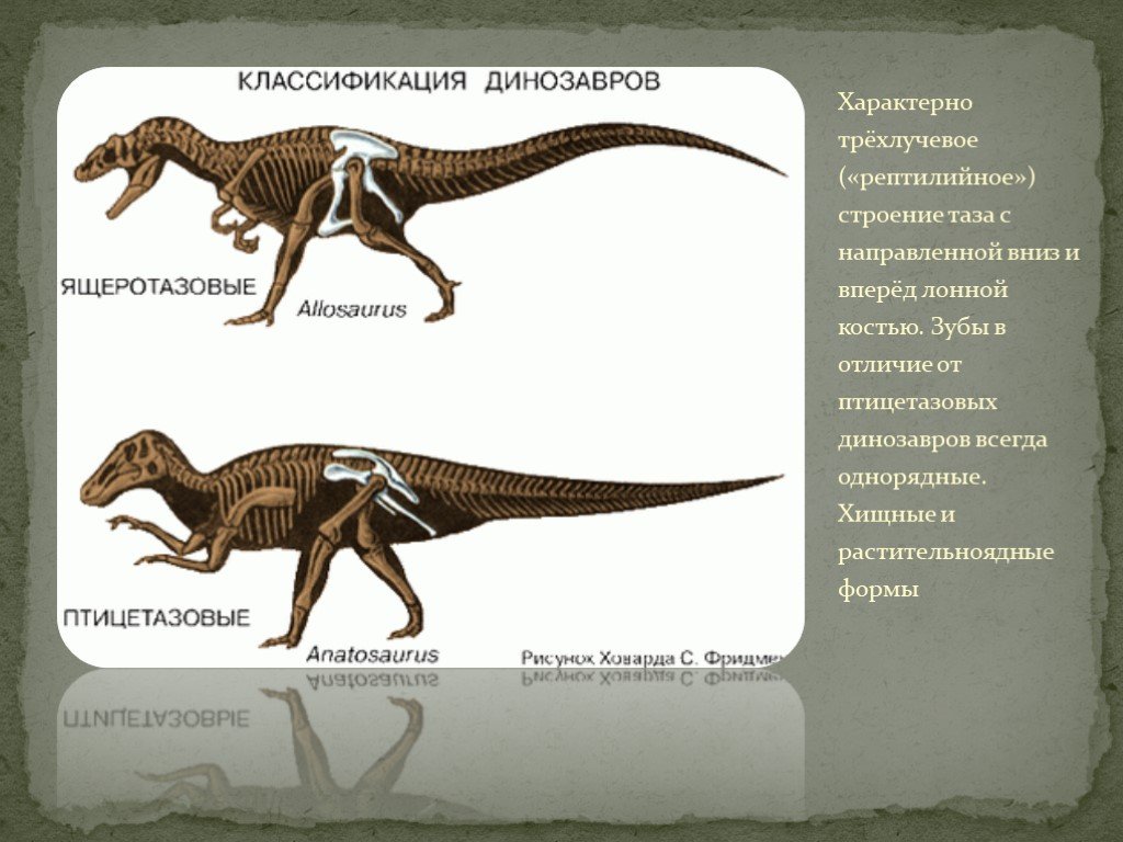Хищные динозавры названия и фото