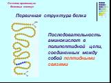 Первичная структура белка. Последовательность аминокислот в полипептидной цепи, соединенных между собой пептидными связями