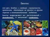 Бентос. (от греч. benthos — глубина), совокупность организмов, обитающих на грунте и в грунте морских и континентальных водоёмов. Бентос подразделяют на: растительный – фитобентос и животный – зообентос.