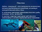 Нектон. (nektos - плавающий) - это совокупность пелагических , активно передвигающихся животных, не имеющих непосредственной связи с дном. К типичным нектонным организмам относятся: рыбы, кальмары, киты, ластоногие. К нектону в пресных водах кроме рыб относятся земноводные и активно перемещающиеся н