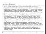 Класс Птицы. Дыхательная система птиц также характеризуется признаками приспособления к полёту, во время которого организм нуждается в усиленном газообмене. Эта система органов у птиц считается одной из самых сложных среди всех групп животных. От глотки отходит длинная трахея, делящаяся в грудной по