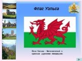 Флаг Уэльса. Флаг Уэльса - бело-зеленый с красным драконом посередине.