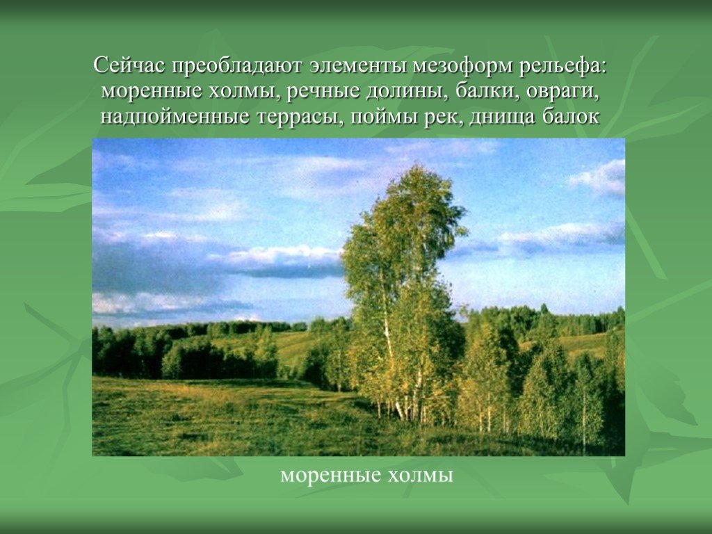 Какой рельеф преобладает. Поверхность Одинцовского края. Основные сведения о поверхности Одинцово. Рельеф Одинцовского района Московской области. Какие ландшафты преобладают в нашем крае.