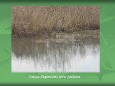 Озёра Одинцовского района