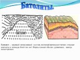 Батолиты. Батолит — крупный интрузивный массив, имеющий преимущественно секущие контакты и площадь более 100 км². Форма в плане обычно удлиненная, иногда изометричная.