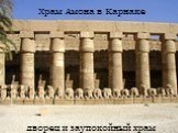 Храм Амона в Карнаке. дворец и заупокойный храм