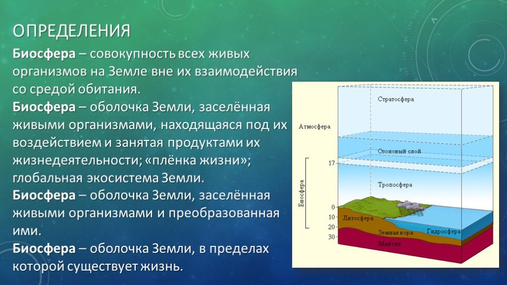 Биосфера живая оболочка земли презентация 5 класс география