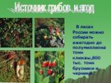 В лесах России можно собирать ежегодно до полумиллиона тонн клюквы,800 тыс. тонн брусники и черники. Источник грибов и ягод