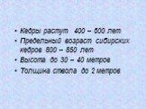 Кедры растут 400 – 600 лет Предельный возраст сибирских кедров 800 – 850 лет Высота до 30 – 40 метров Толщина ствола до 2 метров