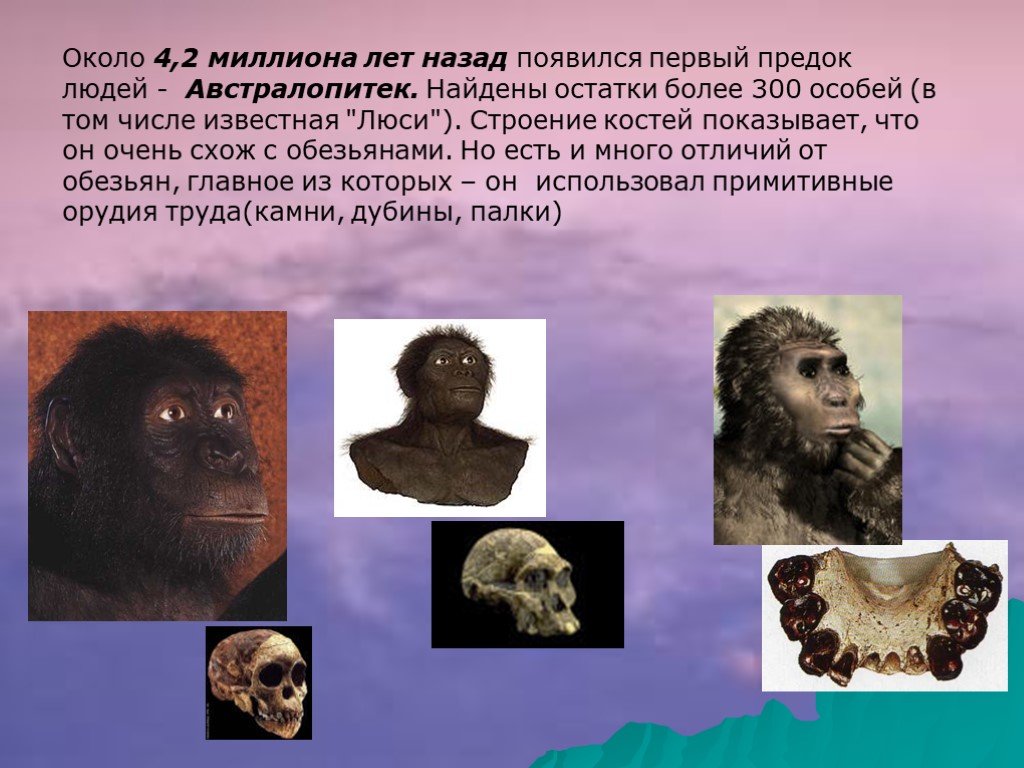 Человек 1 млн лет назад. Предки человека. Австралопитек. Австралопитеки предки человека. Первый предок человека.