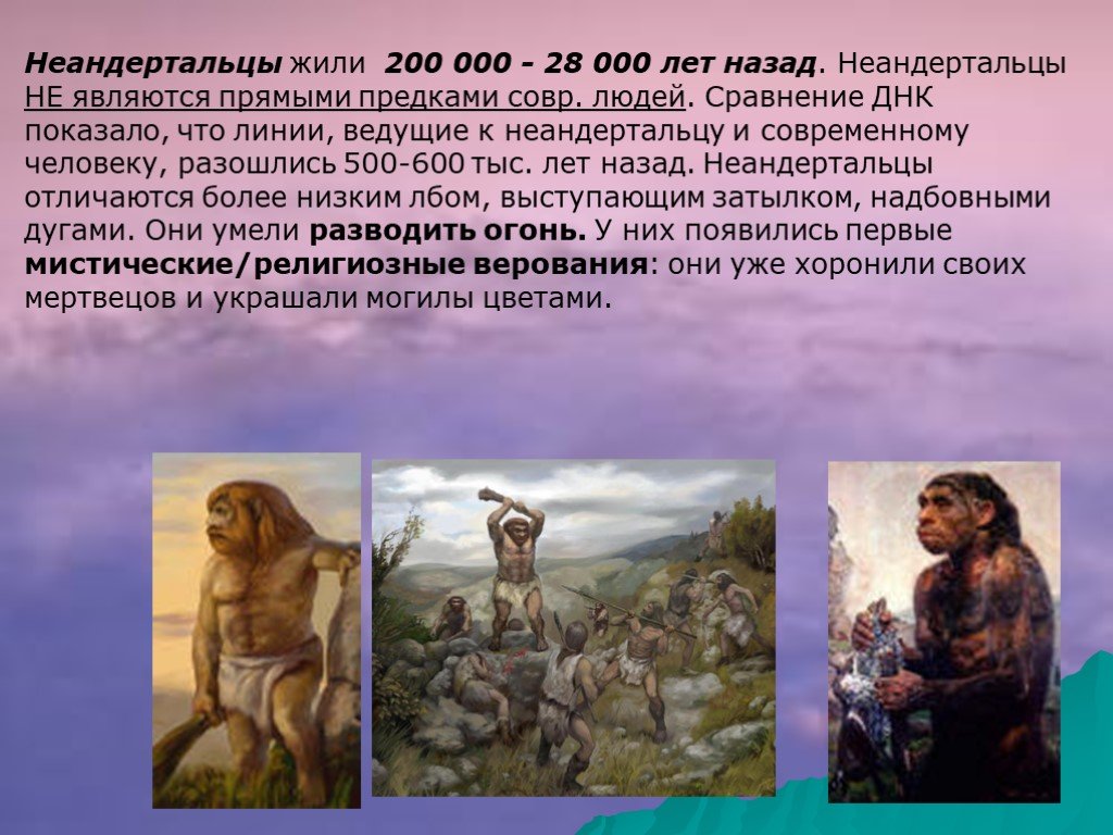 Предком современного человека является. Предшественники человека неандерталец. Неандерталец предки человека. Неандертальцы жили. Происхождение человека неандерталец.