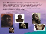 Около 4,2 миллиона лет назад появился первый предок людей - Австралопитек. Найдены остатки более 300 особей (в том числе известная "Люси"). Строение костей показывает, что он очень схож с обезьянами. Но есть и много отличий от обезьян, главное из которых – он использовал примитивные орудия
