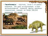 Парейазавры - крупные, почти 2 м в длину животные. Это одно из крупнейших в мире местонахождений пермской фауны наземных позвоночных, живших на Земле 200-240 миллионов лет назад.