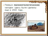 Первые палеонтологические находки здесь были сделаны еще в 1933 году.