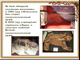 На базе обширной коллекции ископаемых в 1994 году в Котельниче был открыт палеонтологический музей. В 2010 году учреждение переехало в Киров и получило название Вятский палеонтологический музей.