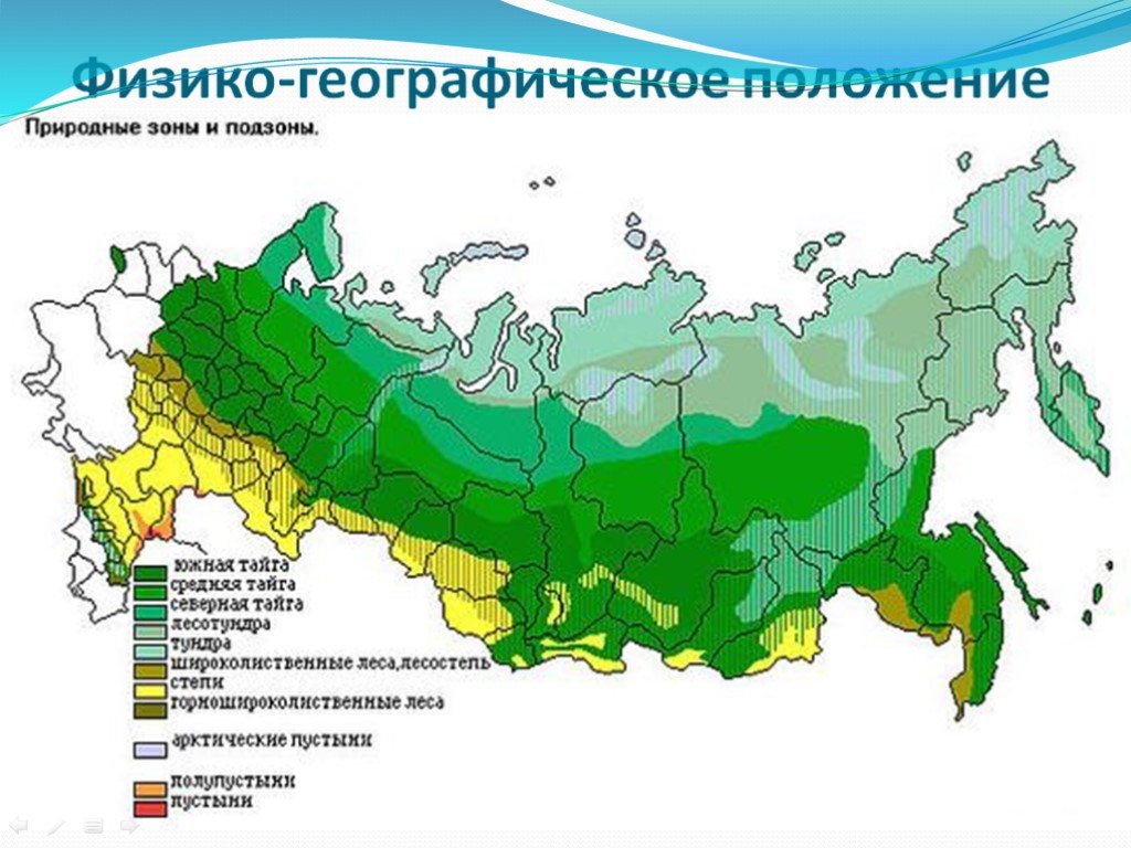 Карта природных зон смешанные леса