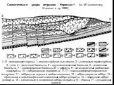 Схематический разрез интрузива Норильск-1 (по М.Годлевскому, /Авдонин и др.1998/). 1–10 - вмещающие породы: 1- гипсово-карбонатные девона, 2 – угленосные пермо-карбона, 3 – угли, 4 – щелочные базальты, 5 – двуполевошпатовые базальты, 6 – толеитовые базальты, 7 – плагиофировые базальты, 8 – туффиты, 