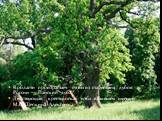 В области произрастает один из старейших дубов России — Панский дуб. Действующая крестьянская изба в бывшем имении М.С. Щепкина Алексеевка