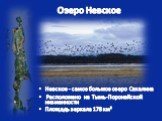 Озеро Невское. Невское - самое большое озеро Сахалина Расположено на Тымь-Поронайской низменности Площадь зеркала 178 км²