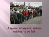 A queue of asylum seekers waiting to be fed