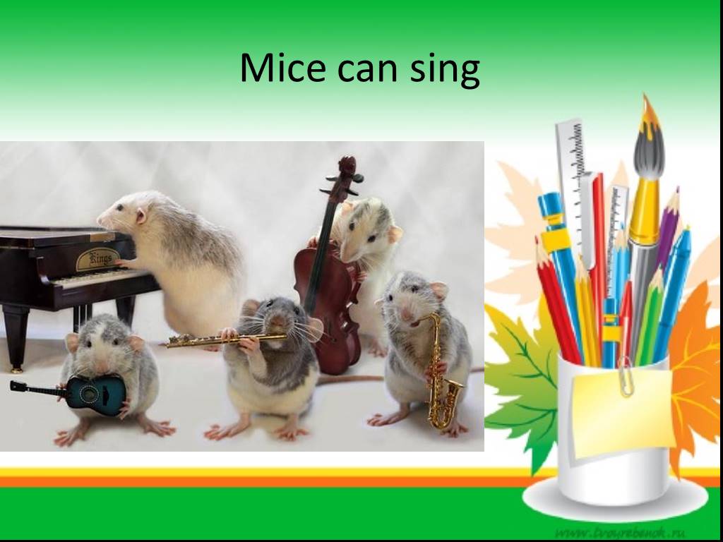Can sing well. Образец can Sing. Can a Mouse Sing ответ. Tiny Mice can Sing. Can a Mouse Sing ответ на вопрос на английском.
