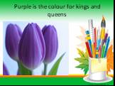 Purple is the colour for kings and queens