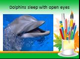 Dolphins sleep with open eyes