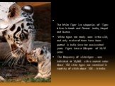The White Tiger is a subspecies of Tiger. It lives in North and Central India, Nepal and Burma. White tigers are rarely seen in the wild, and only twelve of them have been spotted in India since last one-hundred years. Tigers have a life-span of 10-15 years The frequency of white tigers - one indivi