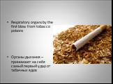 Respiratory organs by the first blow from tobacco poisons Органы дыхания – принимают на себя самый первый удар от табачных ядов