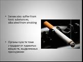 Senses also suffer from toxic substances, allocated from smoking Органы чувств тоже страдают от ядовитых веществ, выделяемых при курении