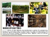 ВИНОРОБСТВО. Більше за одну третину вин, вироблюваних в країнах ЄС, виготовлені у Франції, яка є видатним в Європі постачальником вина. Сорти вин розрізняються від звичайних їдалень, вироблюваних головним чином в Лангедоці на півдні Франції, до більше високосортної продукції виноградників Бордо, Бур