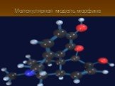 Молекулярная модель морфина