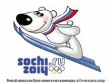 Белый мишка выбран символом олимпиады в Сочи в 2014 году.