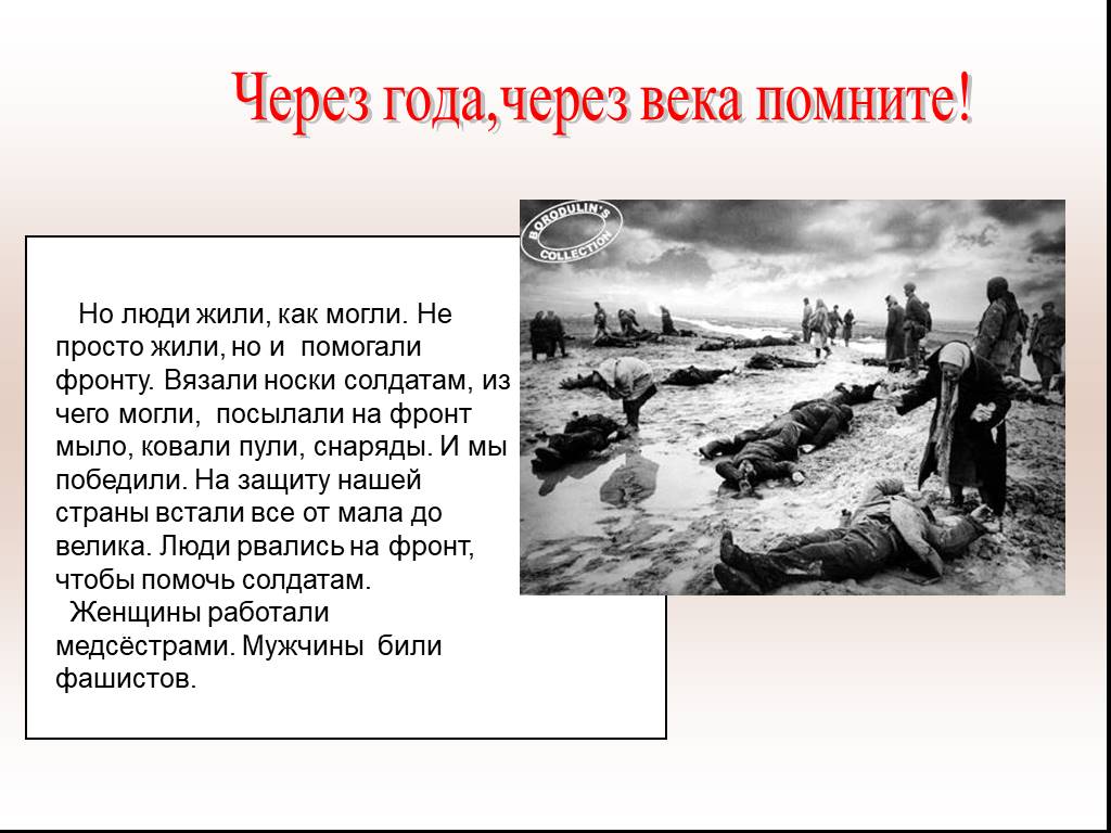 Как животные помогали на фронте и в тылу разгромить врага презентация для дошкольников