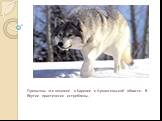 Привычны эти хищники в Карелии и Архангельской области. В Якутии практически истреблены.