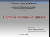 Первые весенние цветы. Подготовила учитель начальных классов Веселовская Ирина Васильевна. Муниципальное бюджетное общеобразовательное учреждение «Средняя общеобразовательная школа №2 с углубленным изучением отдельных предметов имени кавалера ордена Красной Звезды А.А. Кузора». г. Гусь-Хрустальный