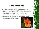 ГИБИСКУС. Листья гибискуса, растёртые в однородную массу накладываются на злокачественные опухоли. Кашица из цветков помогает при фурункулах и язвах.
