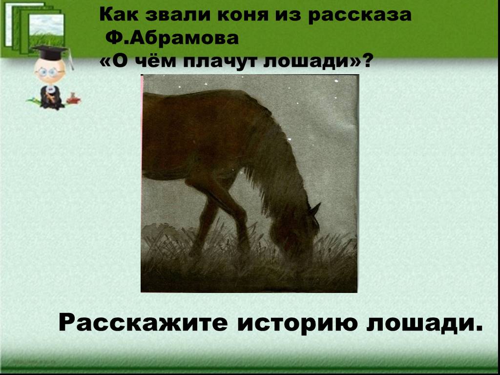 Рассказы под конем