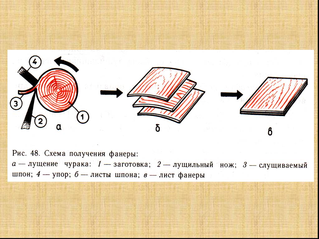 Производство фанеры схема