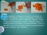 Кубики Морковь разрезают на брусочки и режут их поперёк на кубики. По размерам кубики подразделяют на средние, мелкие и крошку. Средними кубиками нарезают сырую морковь для припускания, тушения. Мелкие кубики из сырой моркови используют для приготовления супов, из вареной- для холодных блюд, крошку 
