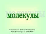 молекулы. Соколовская Евгения Викторовна МОУ "Беломорская СОШ №3"