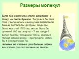 Размеры молекул. Если бы молекулы стали размером с точку на листе бумаги. Тогда все бы тела тоже увеличились и верхушка Эйфелевой башни достала бы до Луны, люди бы были высотой 1700 км, мыши были бы длинной 100 км, а мухи – 7 км, каждый волос был бы толщиной 100 м, красные тельца нашей крови – эритр