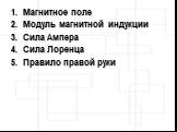 Магнитное поле Модуль магнитной индукции Сила Ампера Сила Лоренца Правило правой руки