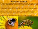 Немного о пчёлах. Пчелы питаются нектаром с различных цветов, но нектар сам по себе долгого хранения не выдерживает , организм пчел постепенно приспособился и начал вырабатывать ферменты, позволяющие перерабатывать нектар в мед, который может сохранять свои качества бесконечно, если запечатан в сота