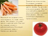 Морковный сок содержит очень много витамина А, а также много железа. Этот витамин улучшает зрение и укрепляет кости. Еще этот сок повышает аппетит и работоспособность. Его следует пить маленьким детям и беременным женщинам. Томатный сок очень полезен. Он содержит множество витаминов: С,В, железо, ка