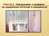 Опыт № 2. Определение и проверка на содержание остатков α-аминокислот